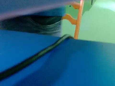 pau888kkkk online show from September 30, 10:32 am