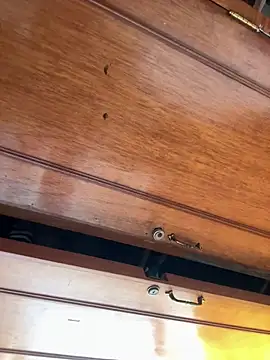 Victoria alson online show from January 18, 4:32 pm