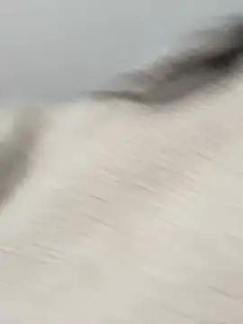 Victoria alson online show from February 19, 1:30 pm