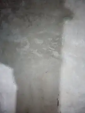 Snapshot of milo123-xx chatting on February 8, 2:48 pm milo123-xx online show from February 8, 2:48 pm