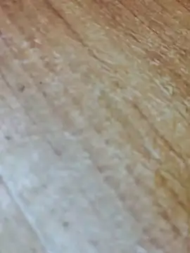 Markroco696 online show from November 13, 5:22 am