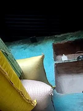 Dikchahot online show from October 30, 2:43 am