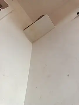 Dikchahot online show from November 11, 10:21 am