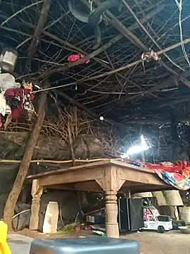 Snapshot of cute_diya_12 chatting on November 18, 3:32 am cute diya 12 online show from November 18, 3:32 am