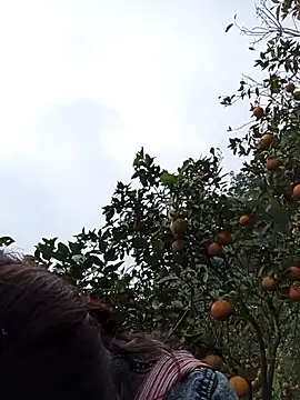  Helala  online show from December 16, 5:33 am