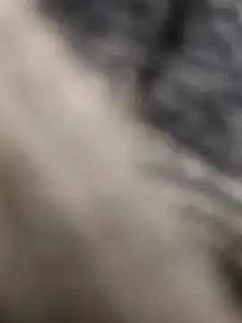 Hot modal online show from February 2, 4:50 pm