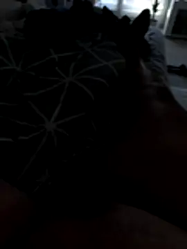 julienCr7 online show from November 17, 2:54 pm