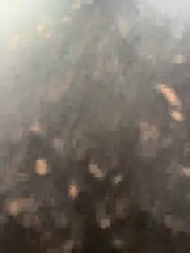 anjalibb online show from October 27, 7:20 am