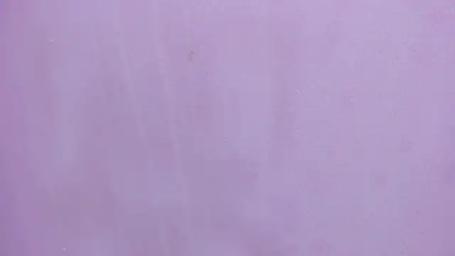 scarlett646 online show from February 28, 3:17 am