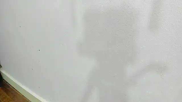 scarlett646 online show from January 14, 3:10 am