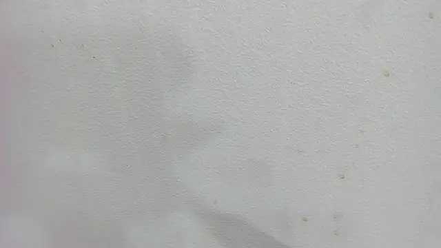 Snapshot of scarlett646 chatting on December 4, 3:05 am scarlett646 online show from December 4, 3:05 am