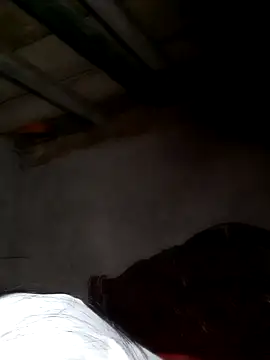 Snapshot of misa_00 chatting on February 24, 8:31 pm misa 00 online show from February 24, 8:31 pm