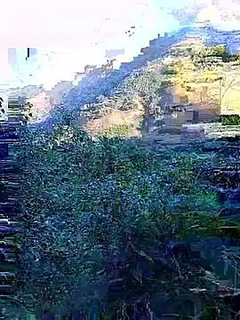 Snapshot of misa_00 chatting on November 29, 1:06 am misa 00 online show from November 29, 1:06 am