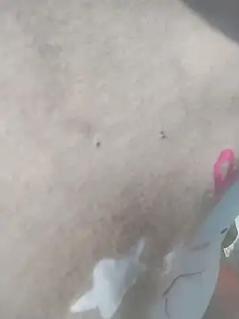 venu00 online show from April 8, 2:13 am