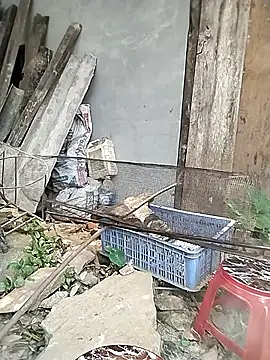 venu00 online show from April 9, 6:30 am