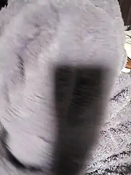 venu00 online show from February 14, 3:29 am