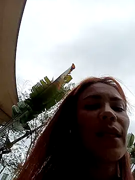 Snapshot of dulcelatin21 chatting on October 23, 9:24 pm dulcelatin21 online show from October 23, 9:24 pm