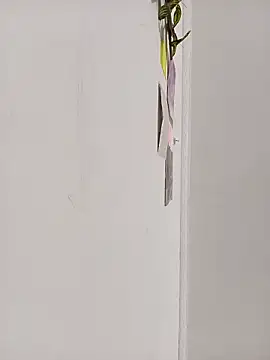 Snapshot of dulcelatin21 chatting on October 17, 2:41 pm dulcelatin21 online show from October 17, 2:41 pm