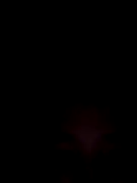 SweetSophie26 online show from January 8, 4:40 am