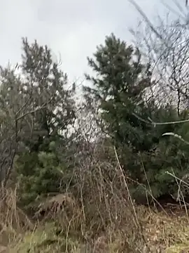 desiredude9 online show from November 2, 9:58 am