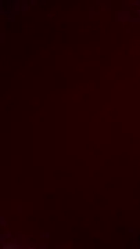 Snapshot of NewJoiner chatting on October 10, 5:47 pm NewJoiner online show from October 10, 5:47 pm