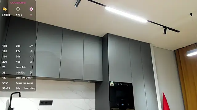 Snapshot of SaraShine_ chatting on December 16, 8:57 pm SaraShine online show from December 16, 8:57 pm