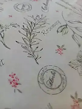 bemmagrinho36 online show from April 18, 12:51 pm