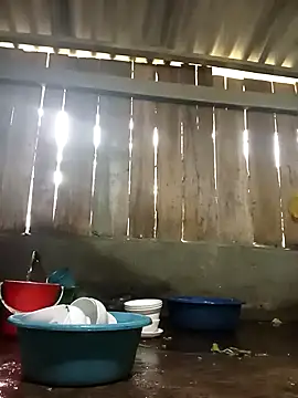 Snapshot of Ngocmi909 chatting on November 17, 1:20 am Ngocmi909 online show from November 17, 1:20 am