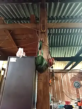 Ngocmi909 online show from April 15, 4:29 am