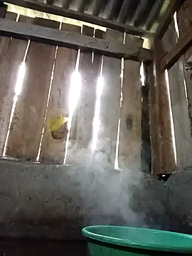 Snapshot of Ngocmi909 chatting on November 16, 12:15 am Ngocmi909 online show from November 16, 12:15 am