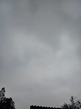 Ngocmi909 online show from January 11, 12:50 am