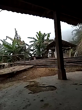 Sa2mh20 online show from December 5, 1:05 am