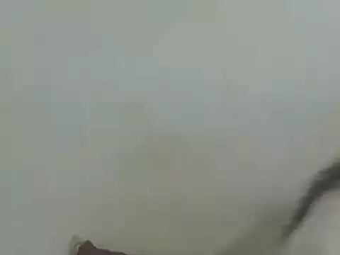 Vaani Singha online show from March 12, 4:44 pm