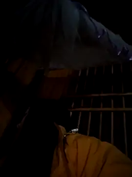 miss-su online show from December 1, 5:25 pm