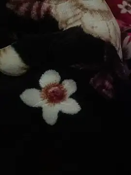 indianshycouple online show from April 9, 10:10 am