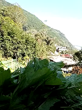 Maymay0033 online show from November 29, 5:07 am