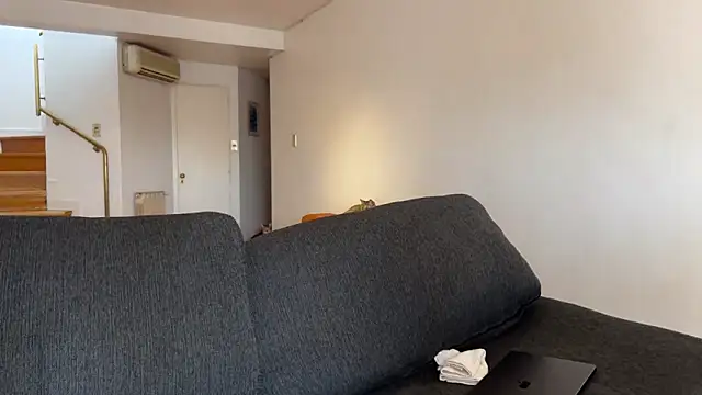 lenruy online show from March 20, 2:29 pm