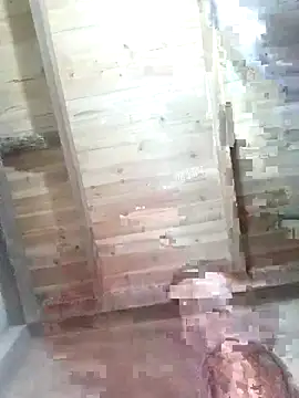 Fienjr online show from February 12, 1:38 am