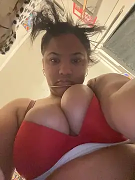 StylishEchium online show from November 24, 8:53 pm