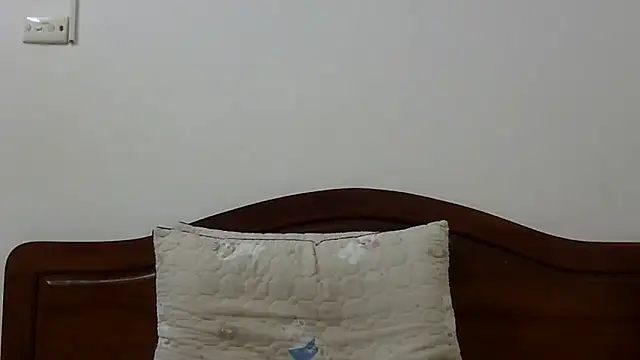 Kiko sunflower online show from February 7, 4:09 am