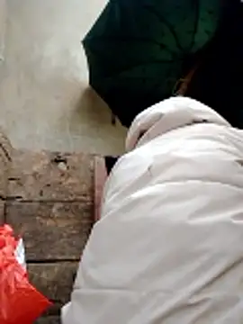 Georgia here online show from January 13, 12:47 am