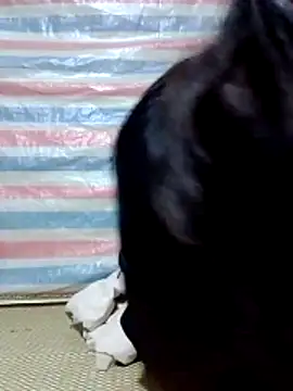 Georgia here online show from December 16, 12:37 am