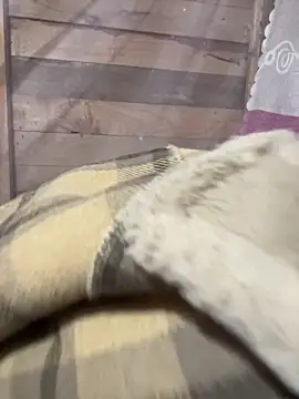 Binjt online show from December 4, 11:48 pm