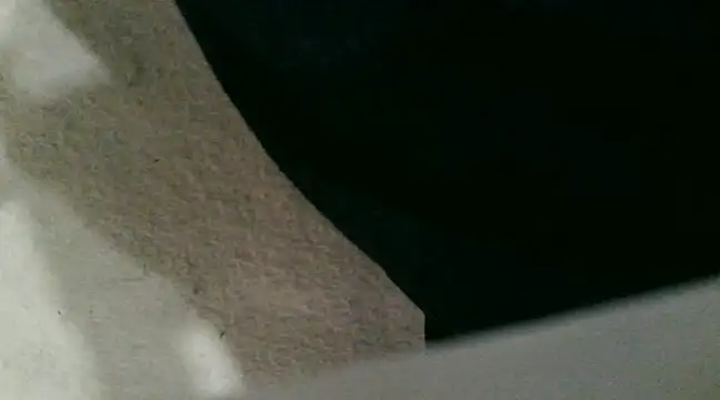 sexypunjabi26 online show from January 8, 11:21 am