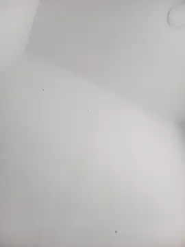 Alisson Morgann online show from October 5, 1:57 pm