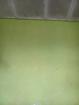 phumlanisanka online show from November 15, 7:56 am