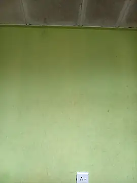 phumlanisanka online show from November 6, 6:28 am