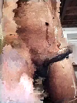 PunjabiSardarBull online show from February 14, 3:01 pm