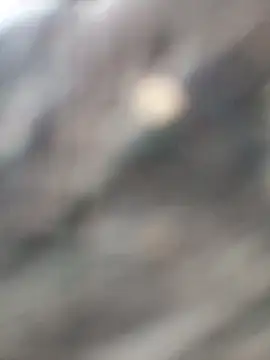 Arya85 online show from November 13, 3:43 am