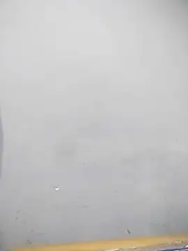 YourTarzan online show from December 15, 8:09 am